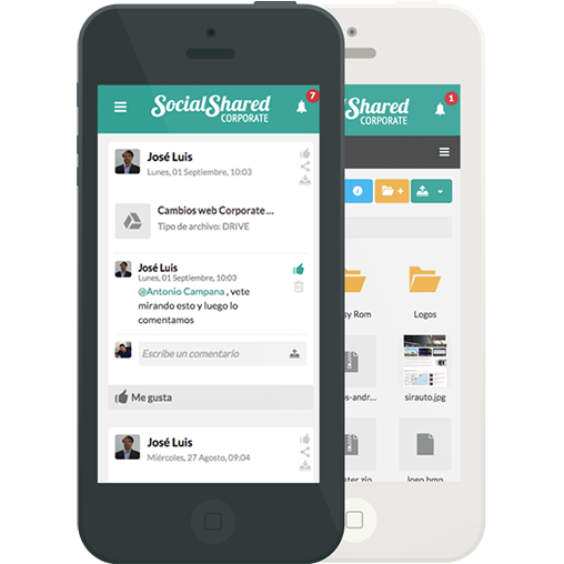 Versiones Mobile y App